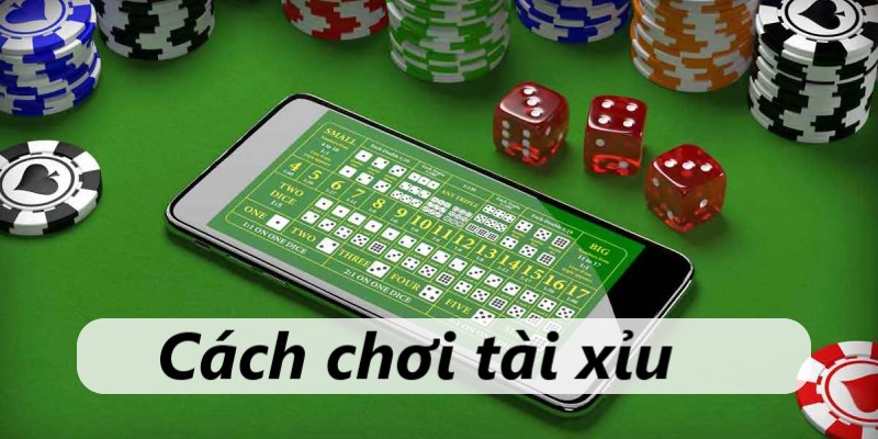 cách chơi tài xỉu